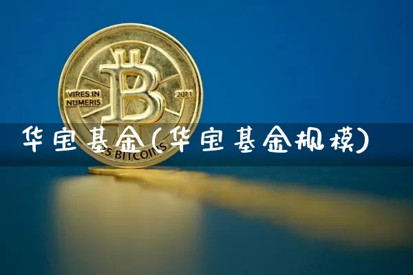 华宝基金(华宝基金规模)_https://www.cangshenghg.com_科创板_第1张
