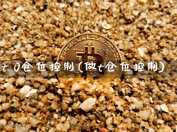 t 0仓位控制(做t仓位控制)_https://www.cangshenghg.com_北交所_第1张
