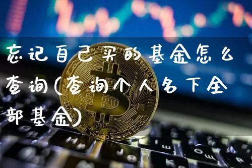 忘记自己买的基金怎么查询(查询个人名下全部基金)_https://www.cangshenghg.com_A股_第1张