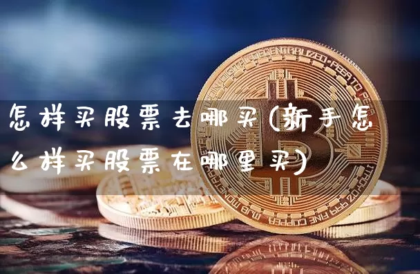 怎样买股票去哪买(新手怎么样买股票在哪里买)_https://www.cangshenghg.com_创业板_第1张
