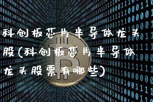 科创板芯片半导体龙头股(科创板芯片半导体龙头股票有哪些)_https://www.cangshenghg.com_科创板_第1张