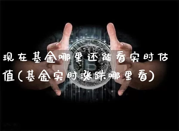 现在基金哪里还能看实时估值(基金实时涨跌哪里看)_https://www.cangshenghg.com_A股_第1张