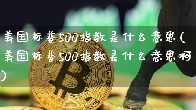 美国标普500指数是什么意思(美国标普500指数是什么意思啊)_https://www.cangshenghg.com_北交所_第1张