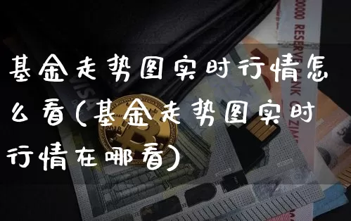 基金走势图实时行情怎么看(基金走势图实时行情在哪看)_https://www.cangshenghg.com_北交所_第1张