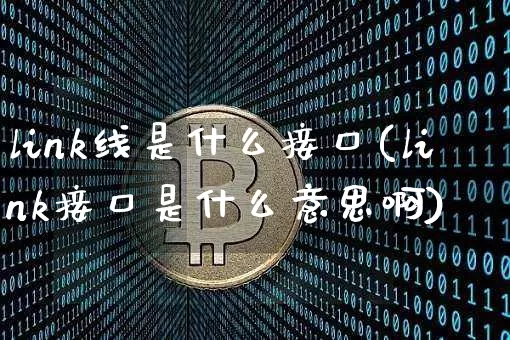 link线是什么接口(link接口是什么意思啊)_https://www.cangshenghg.com_创业板_第1张