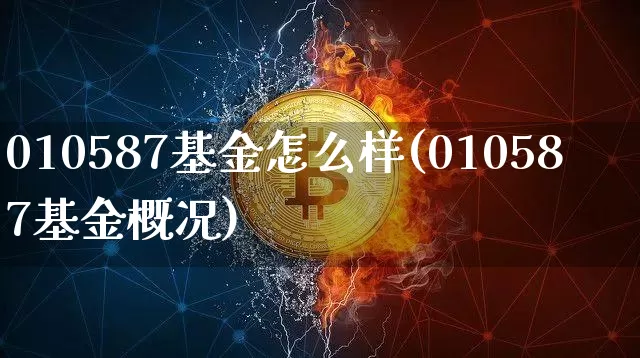 010587基金怎么样(010587基金概况)_https://www.cangshenghg.com_科创板_第1张