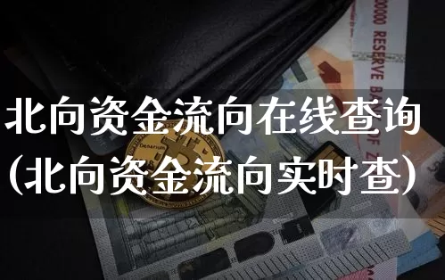 北向资金流向在线查询(北向资金流向实时查)_https://www.cangshenghg.com_创业板_第1张