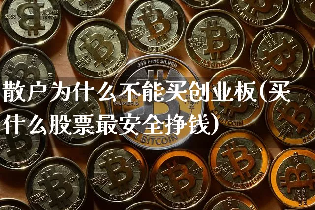 散户为什么不能买创业板(买什么股票最安全挣钱)_https://www.cangshenghg.com_北交所_第1张
