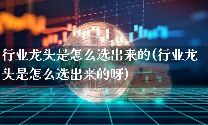 行业龙头是怎么选出来的(行业龙头是怎么选出来的呀)_https://www.cangshenghg.com_北交所_第1张