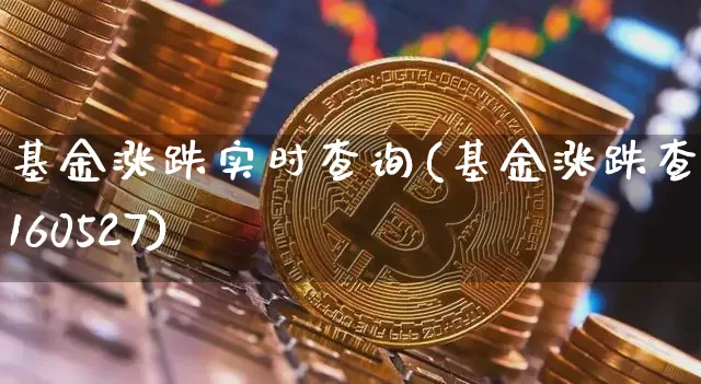 基金涨跌实时查询(基金涨跌查询160527)_https://www.cangshenghg.com_A股_第1张