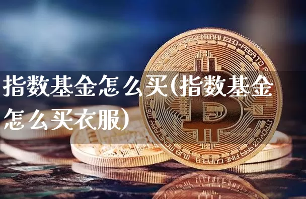 指数基金怎么买(指数基金怎么买衣服)_https://www.cangshenghg.com_科创板_第1张