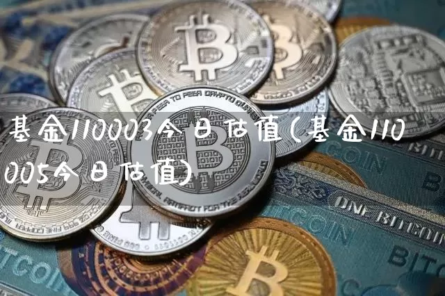 基金110003今日估值(基金110005今日估值)_https://www.cangshenghg.com_北交所_第1张