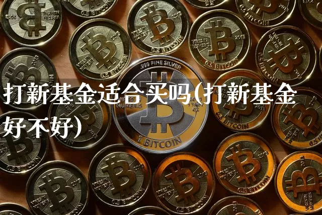 打新基金适合买吗(打新基金好不好)_https://www.cangshenghg.com_创业板_第1张