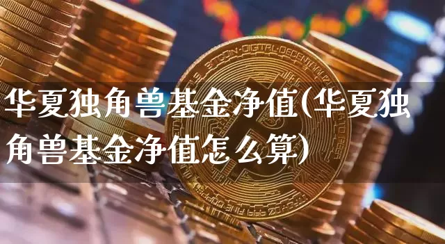 华夏独角兽基金净值(华夏独角兽基金净值怎么算)_https://www.cangshenghg.com_创业板_第1张