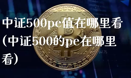 中证500pe值在哪里看(中证500的pe在哪里看)_https://www.cangshenghg.com_北交所_第1张