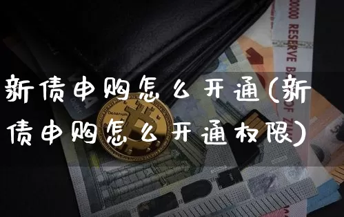 新债申购怎么开通(新债申购怎么开通权限)_https://www.cangshenghg.com_北交所_第1张