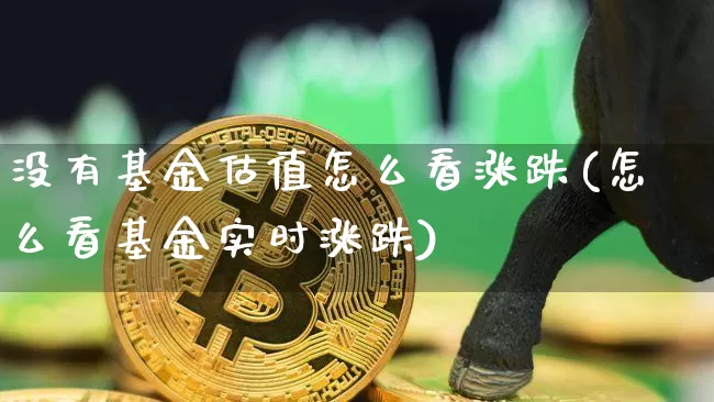 没有基金估值怎么看涨跌(怎么看基金实时涨跌)_https://www.cangshenghg.com_北交所_第1张
