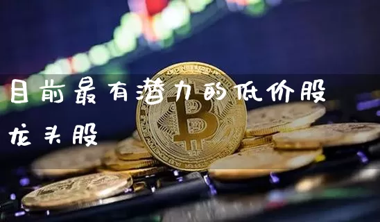 目前最有潜力的低价股龙头股_https://www.cangshenghg.com_科创板_第1张