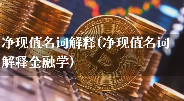 净现值名词解释(净现值名词解释金融学)_https://www.cangshenghg.com_北交所_第1张