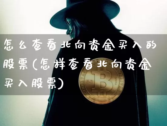 怎么查看北向资金买入的股票(怎样查看北向资金买入股票)_https://www.cangshenghg.com_创业板_第1张