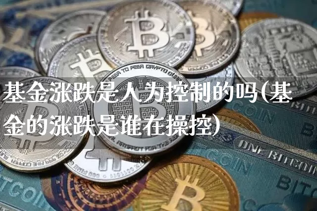 基金涨跌是人为控制的吗(基金的涨跌是谁在操控)_https://www.cangshenghg.com_科创板_第1张