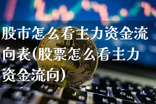 股市怎么看主力资金流向表(股票怎么看主力资金流向)_https://www.cangshenghg.com_北交所_第1张
