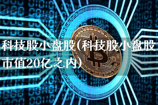 科技股小盘股(科技股小盘股市值20亿之内)_https://www.cangshenghg.com_北交所_第1张