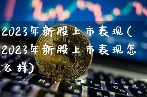 2023年新股上市表现(2023年新股上市表现怎么样)_https://www.cangshenghg.com_财经新闻_第1张