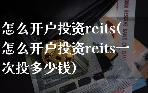 怎么开户投资reits(怎么开户投资reits一次投多少钱)_https://www.cangshenghg.com_科创板_第1张