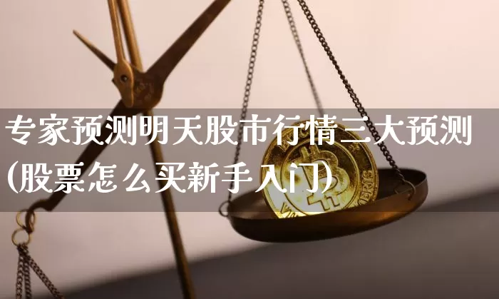 专家预测明天股市行情三大预测(股票怎么买新手入门)_https://www.cangshenghg.com_科创板_第1张