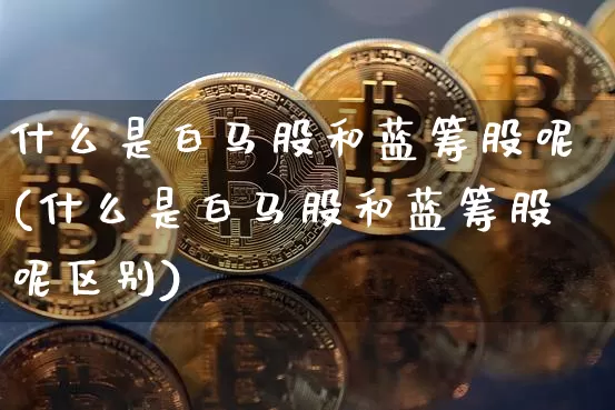 什么是白马股和蓝筹股呢(什么是白马股和蓝筹股呢区别)_https://www.cangshenghg.com_财经新闻_第1张