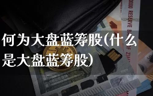 何为大盘蓝筹股(什么是大盘蓝筹股)_https://www.cangshenghg.com_A股_第1张