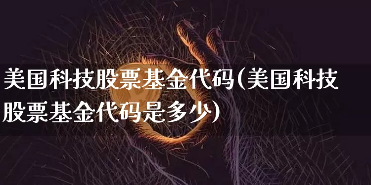 美国科技股票基金代码(美国科技股票基金代码是多少)_https://www.cangshenghg.com_北交所_第1张