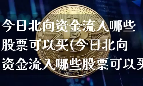 今日北向资金流入哪些股票可以买(今日北向资金流入哪些股票可以买入)_https://www.cangshenghg.com_北交所_第1张