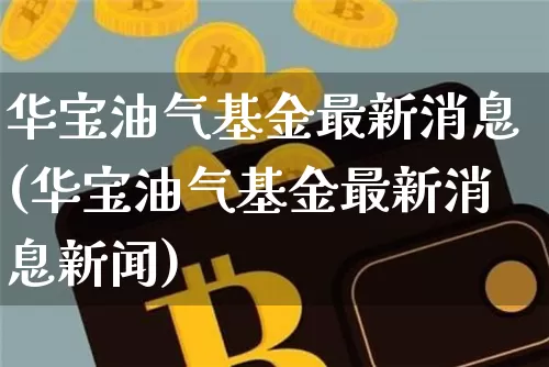 华宝油气基金最新消息(华宝油气基金最新消息新闻)_https://www.cangshenghg.com_北交所_第1张