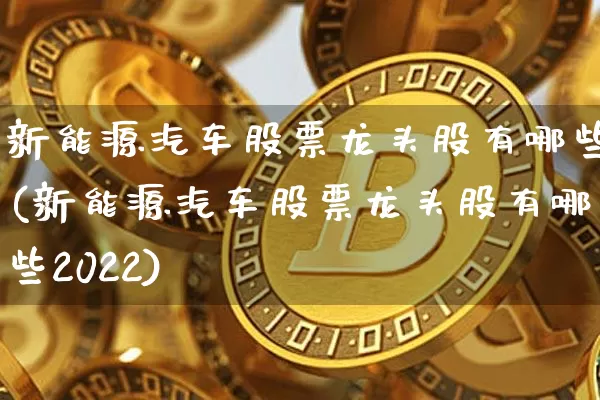 新能源汽车股票龙头股有哪些(新能源汽车股票龙头股有哪些2022)_https://www.cangshenghg.com_财经新闻_第1张