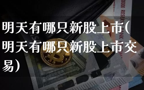 明天有哪只新股上市(明天有哪只新股上市交易)_https://www.cangshenghg.com_北交所_第1张