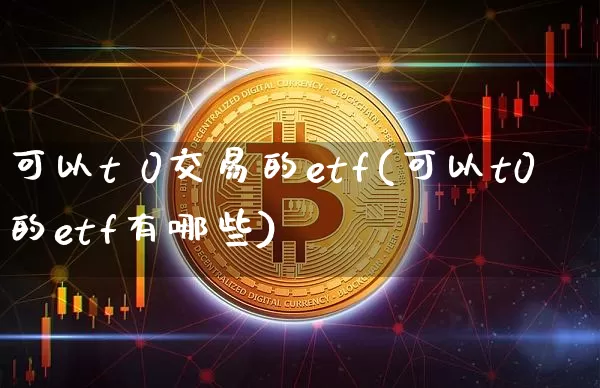 可以t 0交易的etf(可以t0的etf有哪些)_https://www.cangshenghg.com_科创板_第1张
