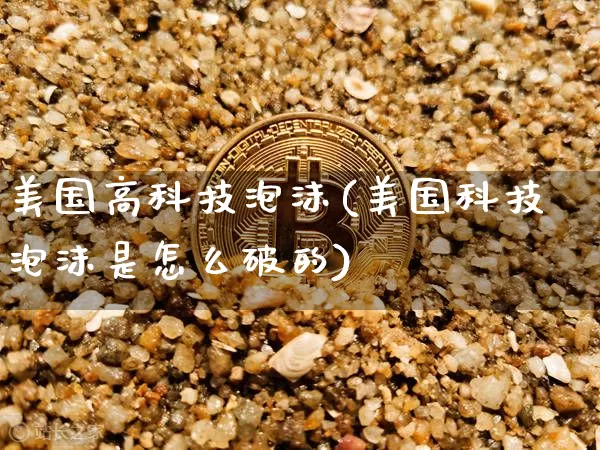 美国高科技泡沫(美国科技泡沫是怎么破的)_https://www.cangshenghg.com_科创板_第1张