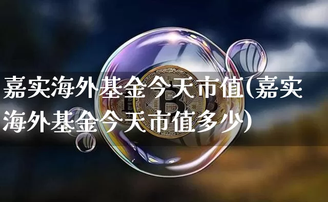 嘉实海外基金今天市值(嘉实海外基金今天市值多少)_https://www.cangshenghg.com_北交所_第1张