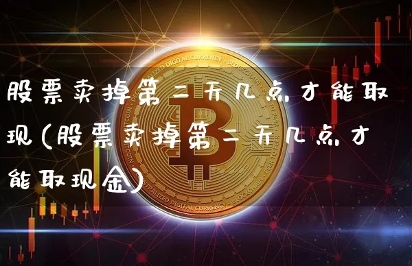 股票卖掉第二天几点才能取现(股票卖掉第二天几点才能取现金)_https://www.cangshenghg.com_科创板_第1张