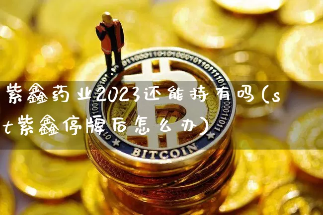紫鑫药业2023还能持有吗(st紫鑫停牌后怎么办)_https://www.cangshenghg.com_A股_第1张