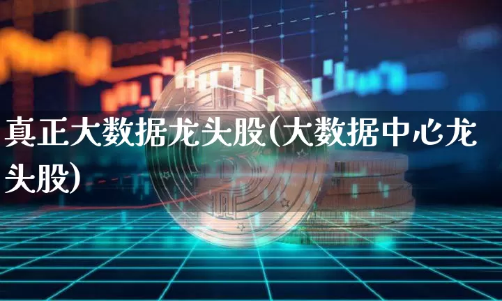 真正大数据龙头股(大数据中心龙头股)_https://www.cangshenghg.com_北交所_第1张