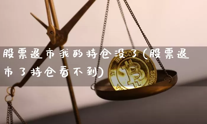 股票退市我的持仓没了(股票退市了持仓看不到)_https://www.cangshenghg.com_北交所_第1张