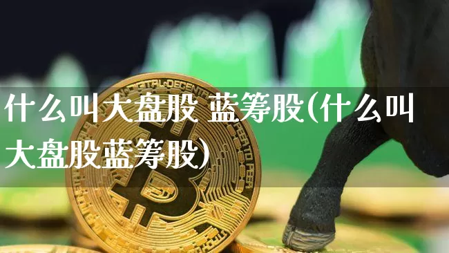 什么叫大盘股 蓝筹股(什么叫大盘股蓝筹股)_https://www.cangshenghg.com_财经新闻_第1张