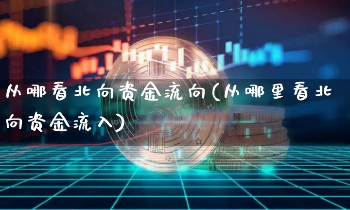 从哪看北向资金流向(从哪里看北向资金流入)_https://www.cangshenghg.com_科创板_第1张