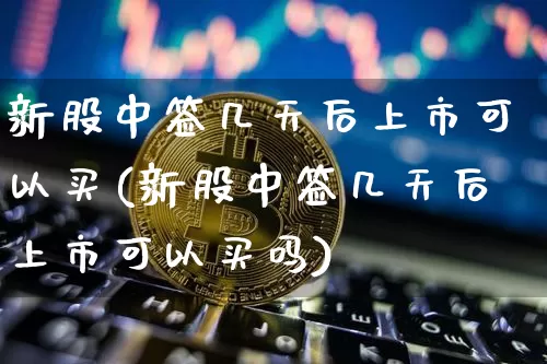 新股中签几天后上市可以买(新股中签几天后上市可以买吗)_https://www.cangshenghg.com_财经新闻_第1张