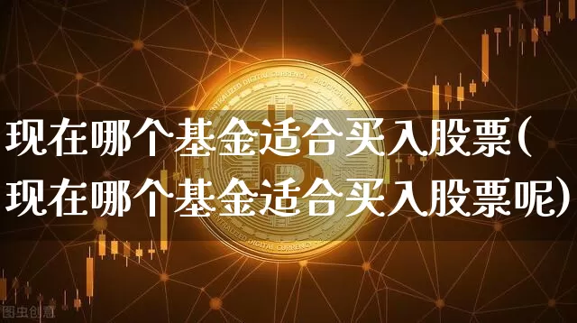现在哪个基金适合买入股票(现在哪个基金适合买入股票呢)_https://www.cangshenghg.com_科创板_第1张