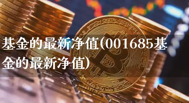 基金的最新净值(001685基金的最新净值)_https://www.cangshenghg.com_科创板_第1张