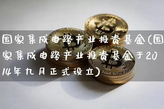 国家集成电路产业投资基金(国家集成电路产业投资基金于2014年九月正式设立)_https://www.cangshenghg.com_科创板_第1张